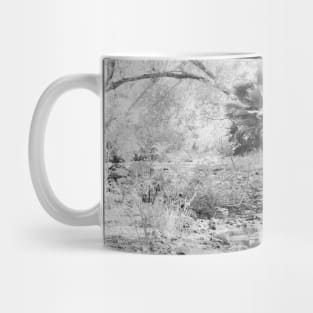 Photo of Peaceful Jungle Stream in California V3 Mug